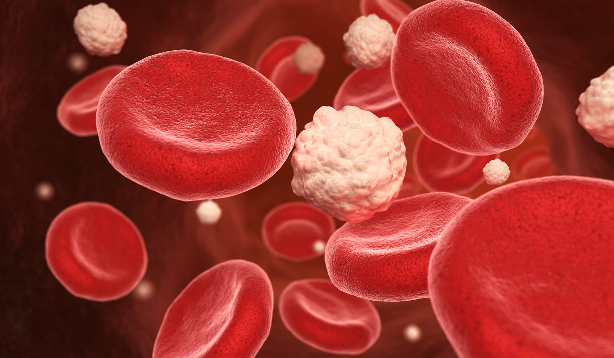 Healthy blood cells